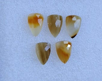 Pierres précieuses artisanales en agate naturelle du Montana, taillées en rose, en forme de bouclier (8 x 12 mm)
