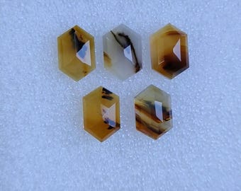 Pierres précieuses artisanales en agate naturelle du Montana, taillées en escalier, de forme fantaisie (8 x 12 mm)