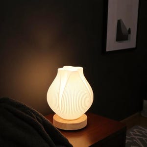 Modern Table Lamp for Bedroom, Simple Decorative Night Light, Wedding Gift, Bedside Ambient Lamp, Celebrity Style