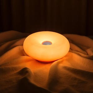 Vintage Orange Donut Touch Lamp – Retro USB LED Table Light, Mid Century Modern Style, Unique Plastic Bedside Lamp for Home or Office
