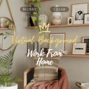 May include: A home office setup with shelves displaying framed art, decorative objects, and plants. A gold-framed mirror hangs on the wall. The text "Virtual Background Work From Home" is displayed in the image.