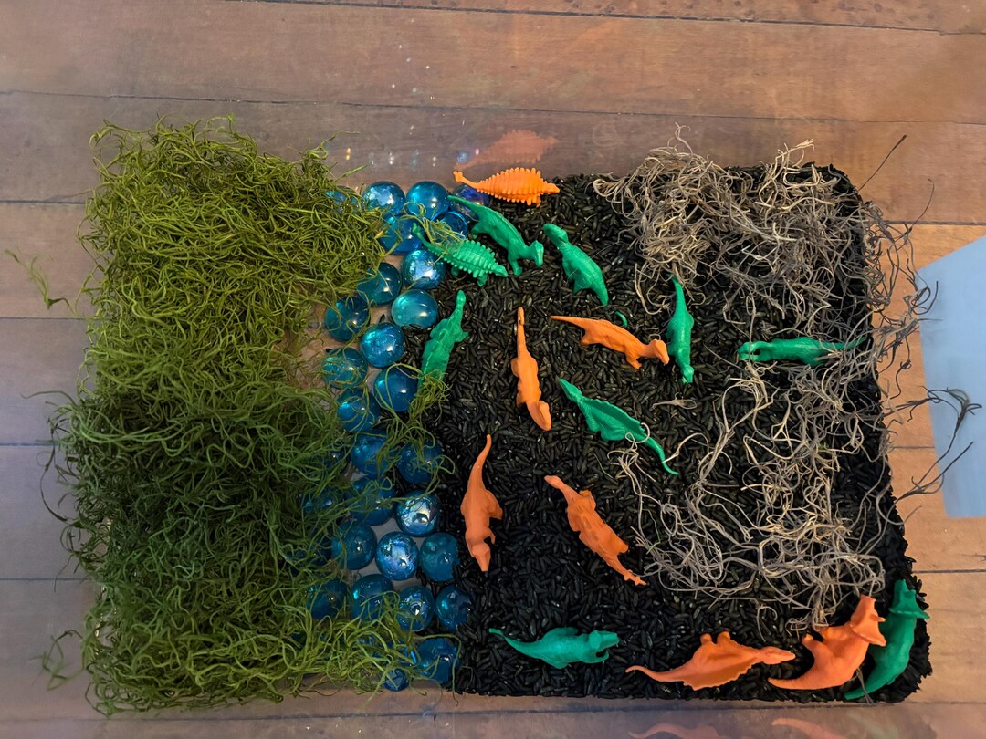 Sensory Bin - Etsy