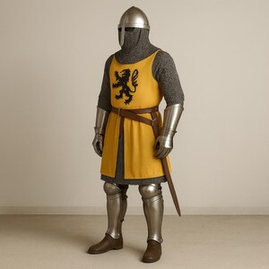 May include: A full suit of medieval armor, including a helmet, chainmail, and metal plating on the arms and legs. A yellow tunic with a black heraldic lion is worn over the chainmail. A brown leather belt and a sword complete the ensemble.