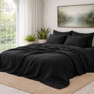 Puede incluir: Una habitación con una cama con ropa de cama negra, que incluye un edredón y almohadas. La cama está sobre una alfombra beige. La habitación tiene una ventana grande con cortinas blancas y varias plantas en macetas. Una pintura de paisaje enmarcada cuelga de la pared.