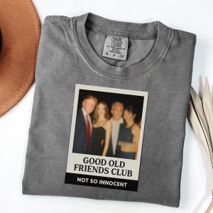 Donald Trump And Jeffrey Epstein Best Friends Parody Tee | Trump Epstein Photo | Trump Epstein List Release The Files
