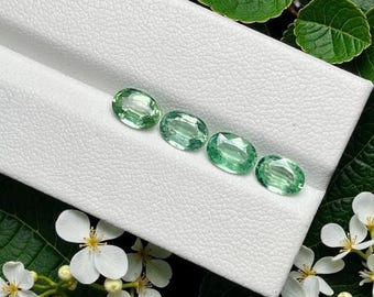 3,65 kt Fine Collection 100% natuurlijk groen kyaniet