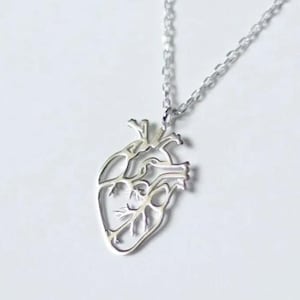 Sterling Silver Anatomical Heart Pendant – Realistic Human Heart Necklace, Gothic Medical Jewelry Gift