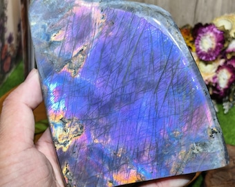 Purple Flash Labradorite Palm Stone: High Grade Rainbow Labradorescence Crystal Display Ornament