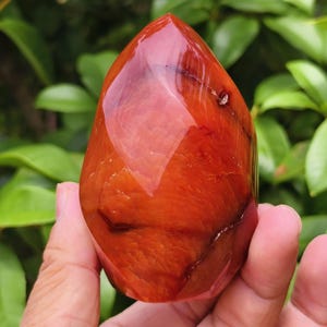 May include: A polished, teardrop-shaped carnelian gemstone. The stone is a vibrant orange-red color with natural patterns and a glossy finish. The gemstone is held in a hand against a backdrop of green foliage.