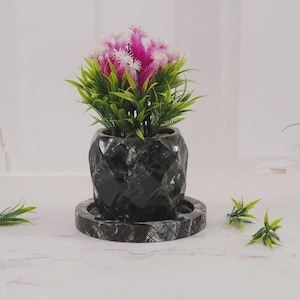 May include: A black, geometric-patterned planter with a matching saucer holds a vibrant arrangement of pink and white flowers with green foliage. The planter sits on a white surface, with additional greenery scattered nearby.