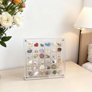 Puede incluir: Una vitrina transparente de acrílico llena de varias conchas marinas, dispuestas en compartimentos cuadrados individuales. Las conchas varían en tamaño, forma y color, incluyendo tonos blancos, marrones e iridiscentes. La vitrina está sobre una superficie de madera clara.