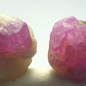May include: Two raw, unpolished mineral specimens featuring clusters of vibrant pink, translucent crystal formations embedded within a solid, opaque, off-white, and cream-colored rocky matrix with a rough, natural, and irregular surface texture.
