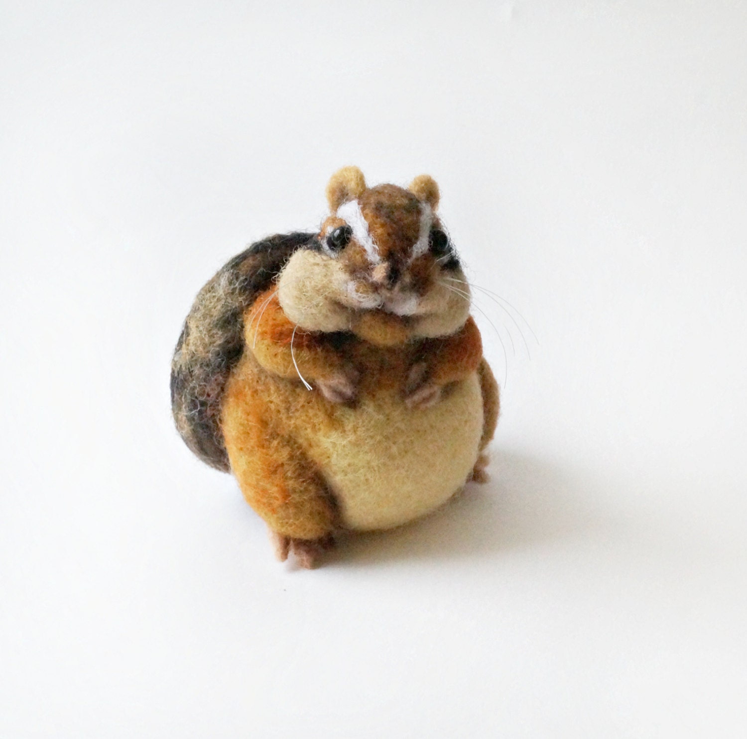 fat chipmunk fat chipmunk