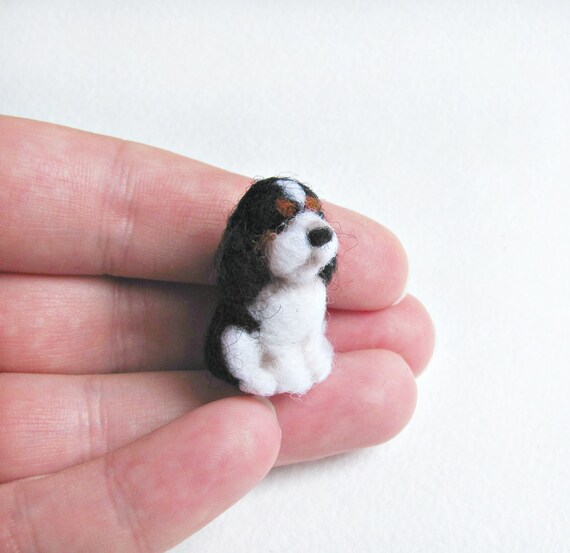tiny cavalier king charles spaniel