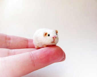 Miniature guinea pig