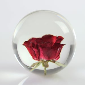 Pisapapeles de esfera acrílica con rosa roja preservada, regalo romántico para siempre, recuerdo de San Valentín o aniversario.