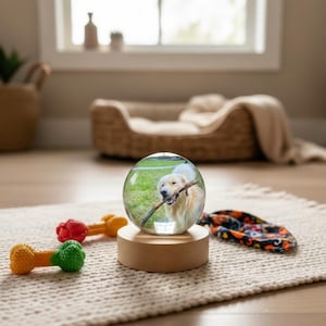 May include: A clear glass globe with a photo of a golden retriever holding a stick, set on a wooden base. The globe sits on a cream-colored rug, with dog toys and a patterned bandana nearby. A dog bed is in the background.