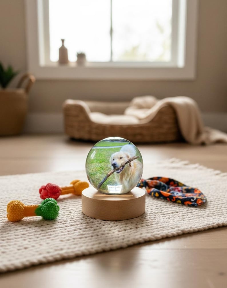May include: A clear glass globe with a photo of a golden retriever holding a stick, set on a wooden base. The globe sits on a cream-colored rug, with dog toys and a patterned bandana nearby. A dog bed is in the background.