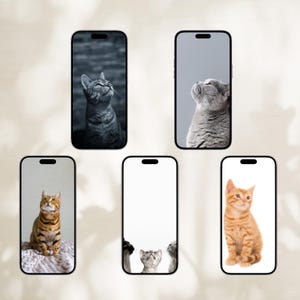 Wallpaper set of cats Cute kitten wallpaper for phone Cell phone background Screen wallpaper for mobile phone Cat lovers gift