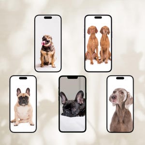 iPhone wallpaper Cell phone background mobile phone wallpaper Dog background wallpaper Animal themed screen for phone set of 5