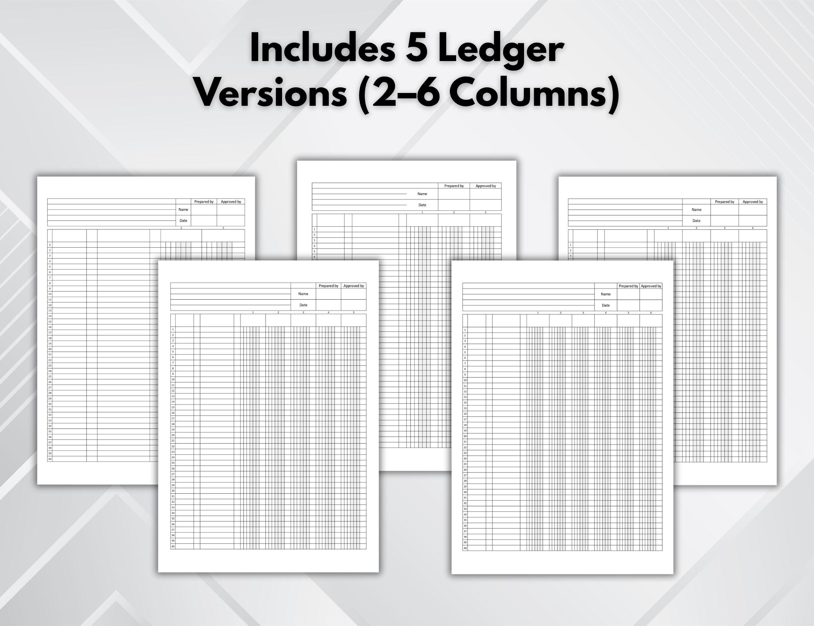 2–6 Column Ledger Printable. Accounting Ledger Sheets PDF. Professional ...