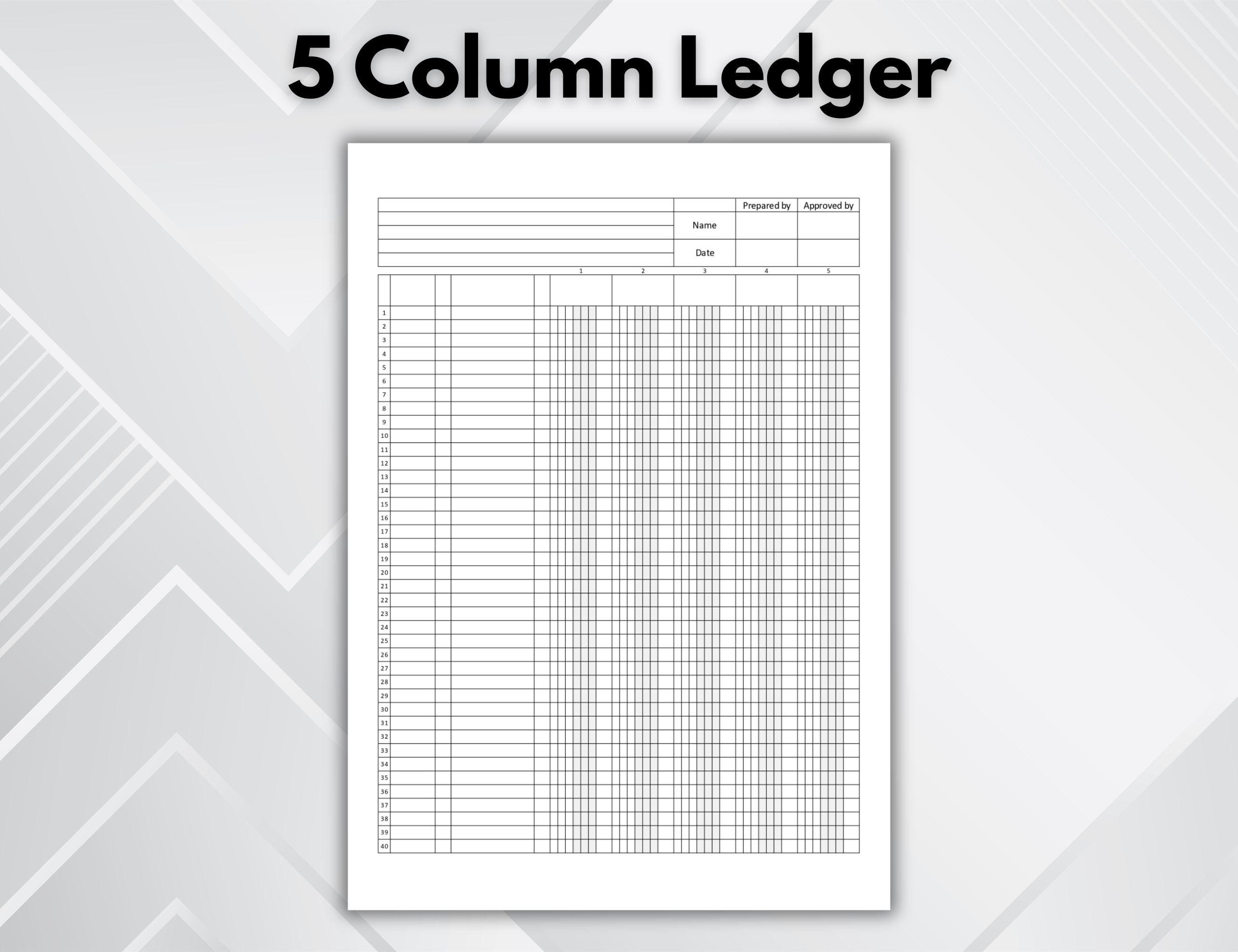 2–6 Column Ledger Printable. Accounting Ledger Sheets PDF. Professional ...