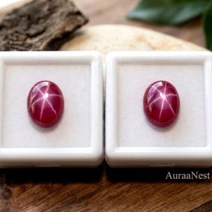 May include: Two oval-shaped, deep red star rubies, each featuring a distinct six-rayed star pattern on its surface. The gemstones are cabochon-cut and displayed individually within two separate white square storage cases with white foam inserts.