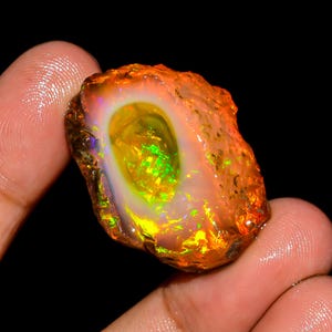 May include: A rough-cut opal gemstone with a vibrant display of colors. The opal features a central cavity with a bright yellow and green interior, surrounded by a white and orange outer layer. The gemstone is held between fingers against a black background.