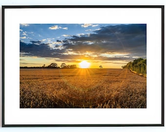 Blé doré au coucher du soleil | Impression giclée beaux-arts | Photographie de paysage | Décoration murale chaleureuse (sans cadre)
