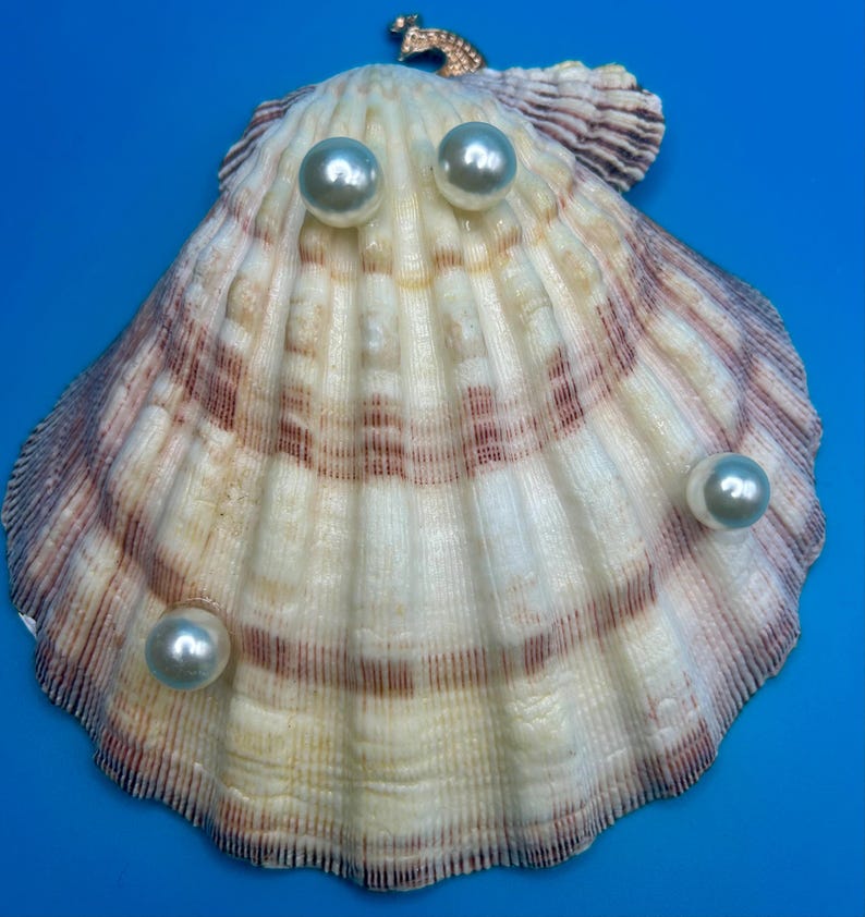 May include: A fan-shaped scallop shell featuring a natural cream and brown ribbed texture, adorned with four smooth, lustrous white spherical pearls attached to the surface and a small gold-toned metal seahorse charm at the top edge.