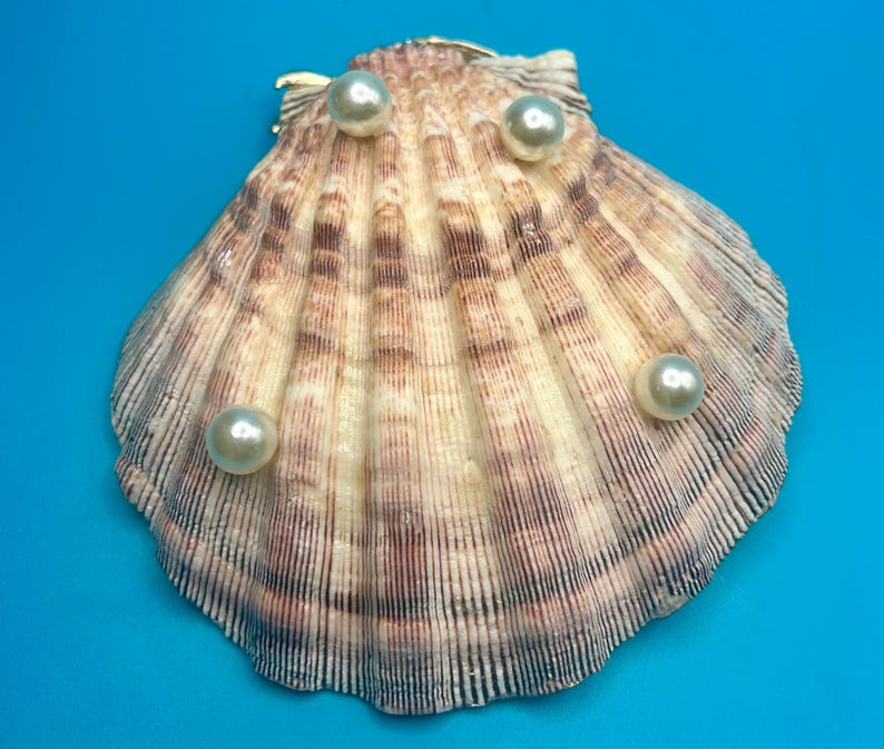 May include: A fan-shaped scallop shell with a textured, ribbed surface featuring shades of cream, tan, and dark brown. Three smooth, round, white pearls are attached to the front of the shell, positioned near the top and the lower right side.