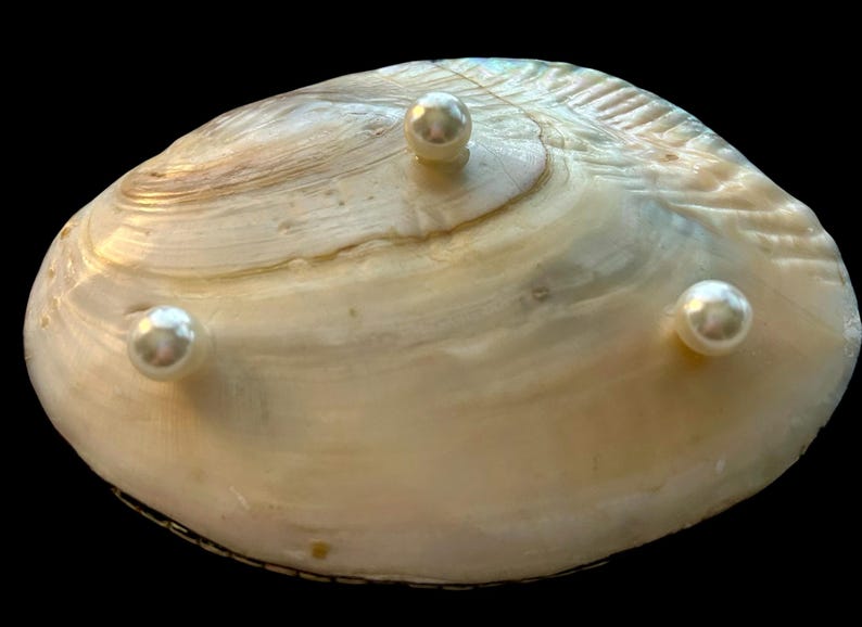 Peut inclure: Un grand coquillage iris&eacute; avec trois perles blanches dispos&eacute;es sur sa surface. La coquille pr&eacute;sente un aspect naturel et textur&eacute; avec des nuances de cr&egrave;me et de brun. Les perles sont espac&eacute;es.