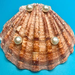 May include: A fan-shaped scallop shell with a textured, ribbed surface in shades of brown and tan, featuring four smooth, round, cream-colored pearls attached to the front. The shell has a scalloped edge and a natural, radial pattern.