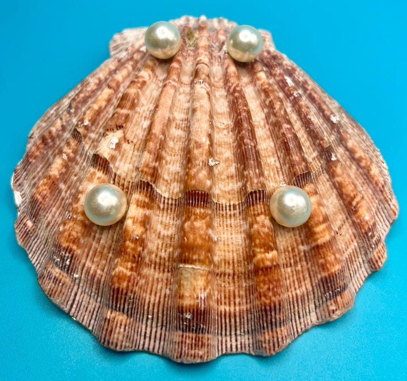 May include: A fan-shaped scallop shell with a textured, ribbed surface in shades of brown and tan, featuring four smooth, round, cream-colored pearls attached to the front. The shell has a scalloped edge and a natural, radial pattern.