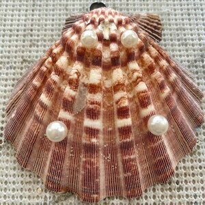 May include: A decorative seashell with a natural, striped pattern in shades of brown and white. Four white pearls are arranged on the shell's surface. The shell's texture and colour create a coastal theme. The pearls add a touch of elegance.