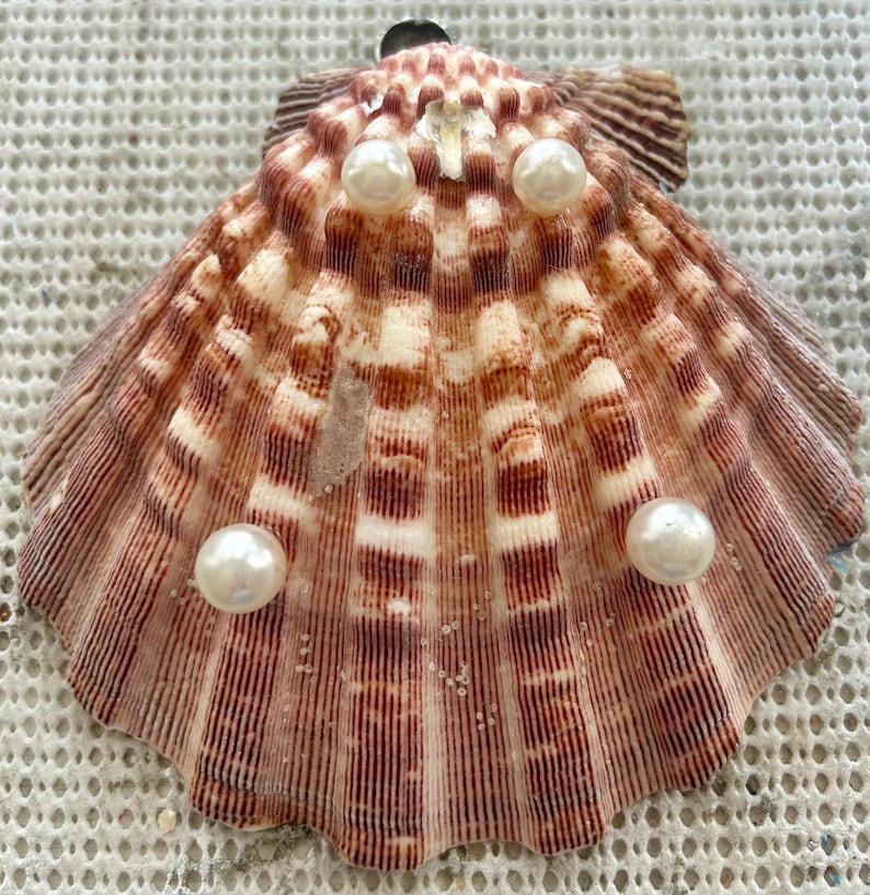May include: A decorative seashell with a natural, striped pattern in shades of brown and white. Four white pearls are arranged on the shell's surface. The shell's texture and colour create a coastal theme. The pearls add a touch of elegance.