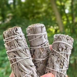 White Sage Smudge Sticks: Natural Incense for Cleansing & Meditation - Pack of Three