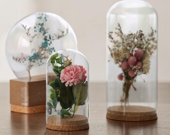 Cupola in vetro, base in legno, terrario, campana di vetro, teca trasparente, esposizione di fiori secchi, decorazione per la casa, ornamento da tavolo