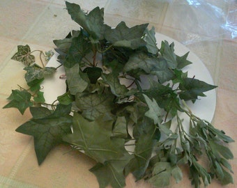75 GREEN IVY LEAVES foliage floral supplies crafts mixed sizes
