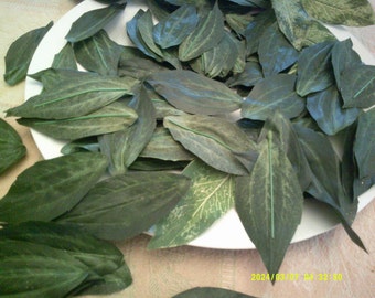 110 long GREEN LEAVES 3 3/4" foliage floral supplies crafts