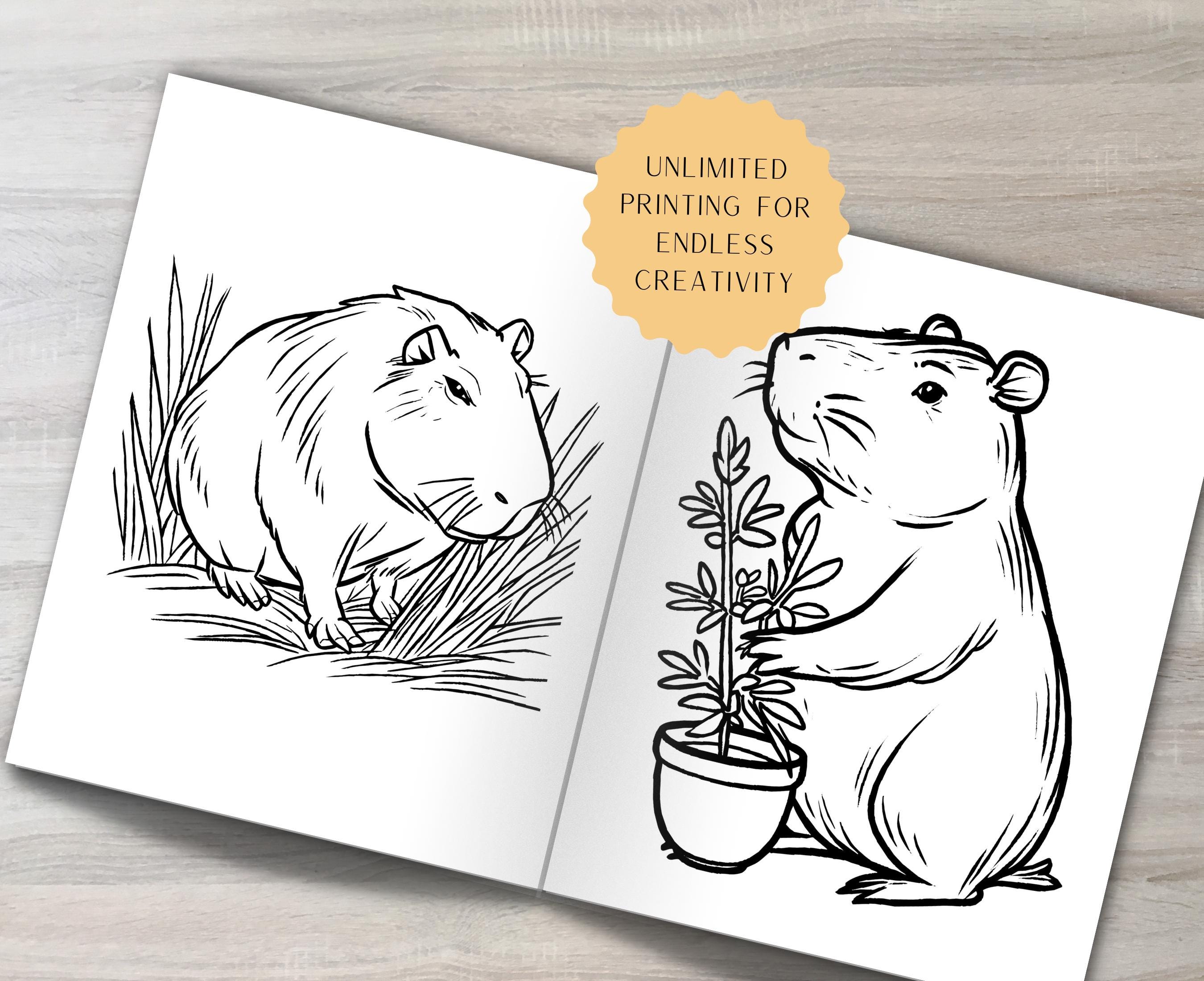 Capybara Coloring Book, Animal Coloring Pages PDF - Etsy
