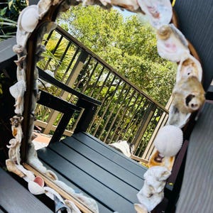 Oyster shell mirror/ 12x18