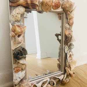 Oyster shell mirror/ 18x12