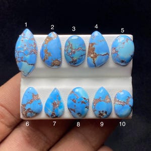 May include: Ten polished turquoise gemstones with brown matrix patterns are displayed on a white holder. The stones vary in shape, including oval, teardrop, and irregular forms. The turquoise color ranges from light to medium blue.