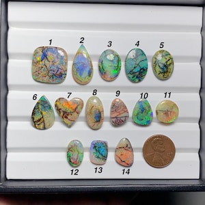 May include: Fourteen polished boulder opals in various shapes and sizes, numbered one through fourteen, displayed in a white tray. Each gemstone features unique iridescent color flashes and dark matrix veins. A US penny is included for scale.