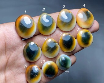 Natural Shiva Eye Shell Cabochon | Loose Gemstone For Jewelry Making
