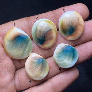 May include: Five polished cabochons labeled one through five, featuring swirling patterns of cream, tan, and deep blue. The stones have smooth, rounded surfaces with varying shapes, including teardrop and circular forms, displaying natural color gradients.