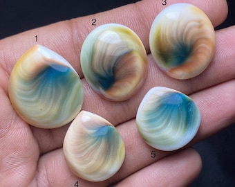 Cabochon naturale a forma di occhio di Shiva / Pietra preziosa sfusa per la creazione di gioielli