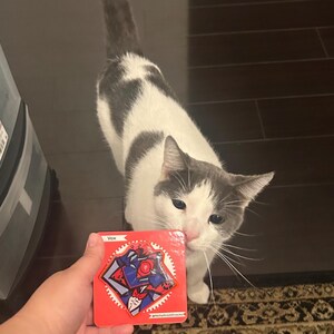 May include: A red square pin with a graphic design of a robot, held in front of a gray and white cat. The pin has the word "Vox" at the top. The cat is looking at the pin.