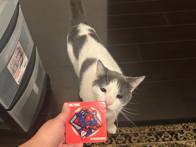 May include: A red square pin with a graphic design of a robot, held in front of a gray and white cat. The pin has the word "Vox" at the top. The cat is looking at the pin.